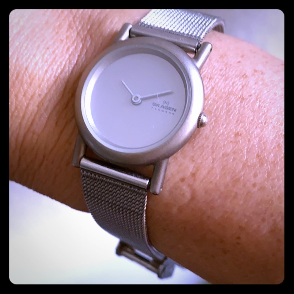Skagen silver steel mesh watch